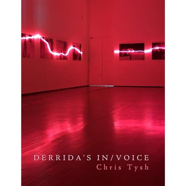 Joseph Cornell/Marcel Duchamp -in resonance: d'Harnoncourt, Anne